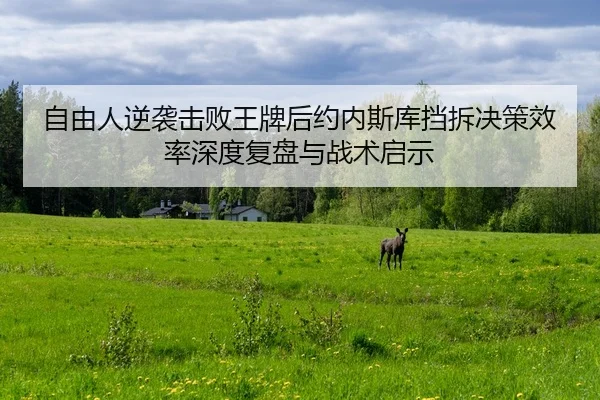 自由人逆袭击败王牌后约内斯库挡拆决策效率深度复盘与战术启示